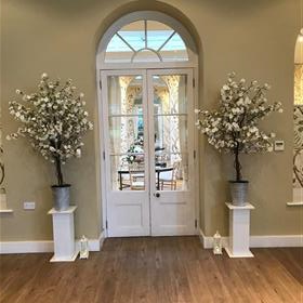 fwthumbBlossom trees on plinths.jpg
